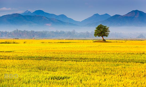 Ảnh minh họa (Nguồn internet) – hình 1