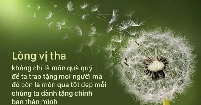 Ảnh minh họa (Nguồn internet) ảnh 1
