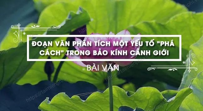Hình ảnh minh họa tác phẩm (Nguồn: Internet)