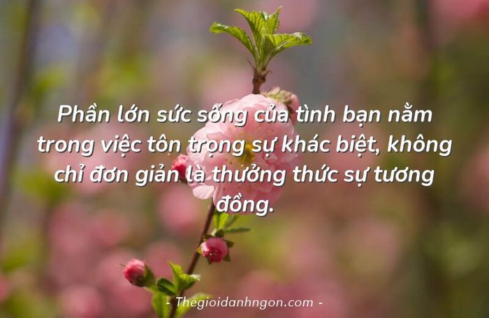 Hình ảnh minh họa sống động (Nguồn: Internet) ảnh 1
