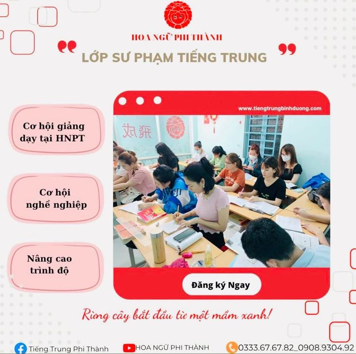 Hoa Ngữ Phi Thành hình ảnh 2
