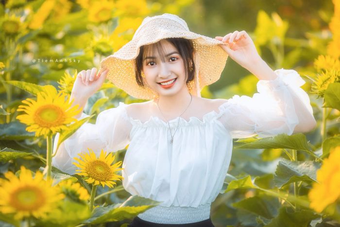 Ảnh minh họa: Cánh đồng hoa hướng dương bát ngát (Nguồn: Sưu tầm)