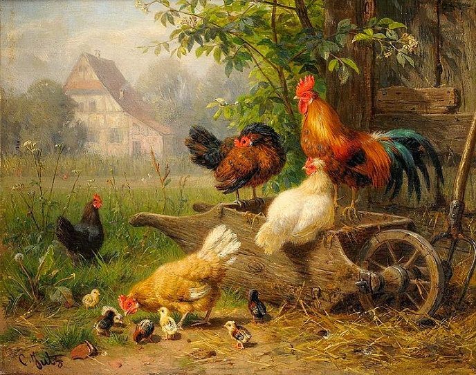 Hình ảnh minh họa sống động về loài gà