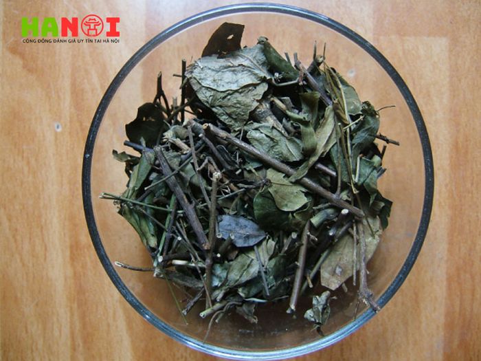 cay-canh-hai-dang - Gợi ý đáng tin cậy từ Mytour
