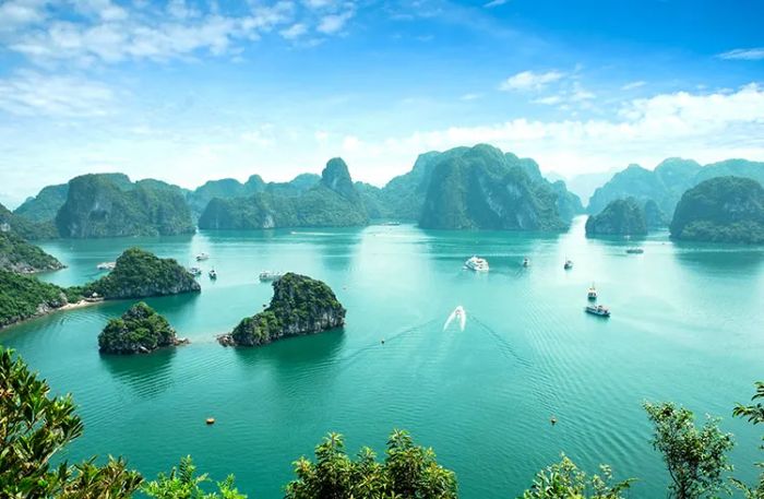 Ảnh minh họa (Nguồn internet) ảnh 1