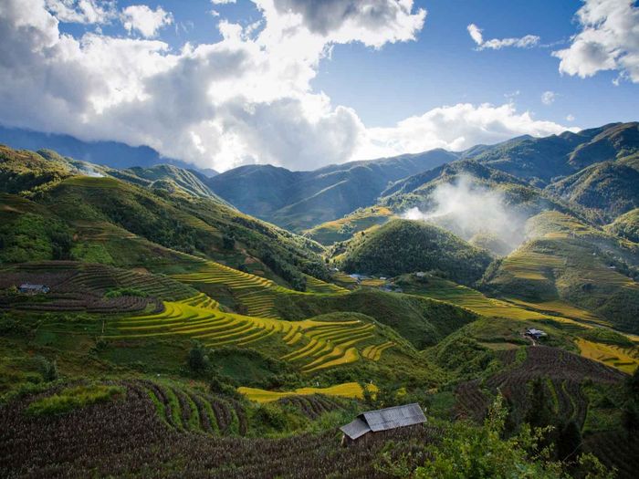Hình ảnh minh họa số 1: Anh thanh niên làm việc giữa khung cảnh thiên nhiên hùng vĩ Sa Pa