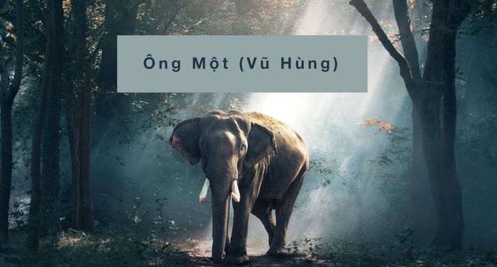 Hình minh họa sống động (Nguồn internet) ảnh 1