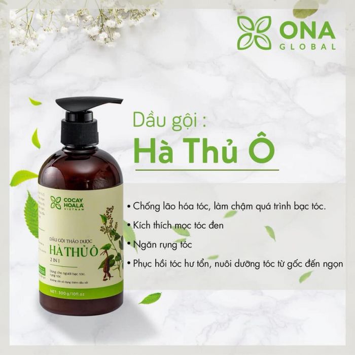 Hình ảnh minh họa Dầu Gội Hà Thủ Ô 2in1 Cocayhoala - Giải pháp cho tóc bạc sớm và rụng tóc