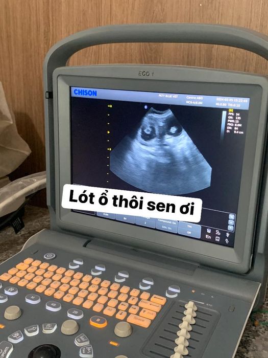 Hình ảnh 1 - Phòng Khám Thú Y Blue Vet với cơ sở vật chất hiện đại