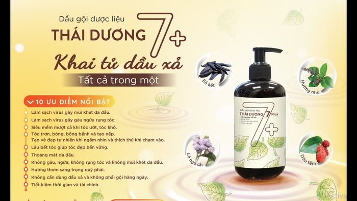 Thái Dương 7 Plus - Bí quyết tóc đẹp không lo gàu ngứa (Ảnh minh họa 2)