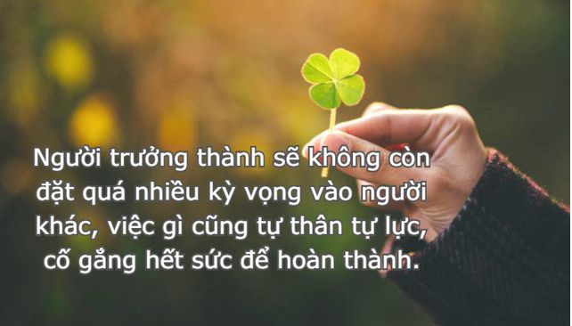 Hình ảnh minh họa ấn tượng (Nguồn: internet) ảnh 1