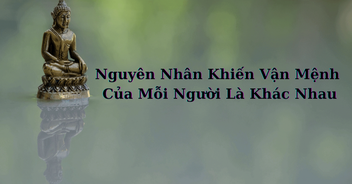 Hình ảnh minh họa sinh động (Nguồn: Internet) ảnh 1