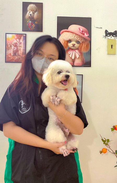 Hình ảnh 2 - Không gian chuyên nghiệp tại Trung Tâm Thú Cưng T.VET Clinic