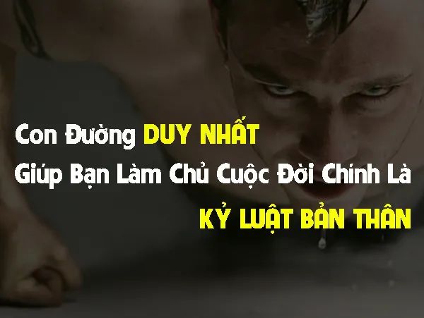Ảnh minh họa (Nguồn internet) - Hình ảnh 1