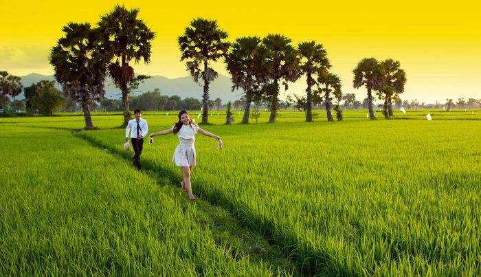 Nguồn ảnh minh họa: Internet
