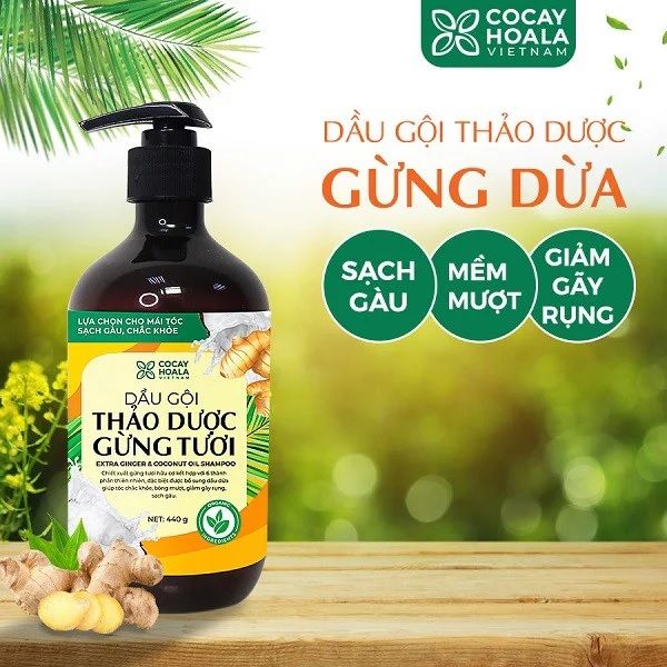 Hình ảnh chân thực Dầu Gội Gừng Dừa Hữu Cơ Cocayhoala - Bí quyết cho mái tóc bồng bềnh