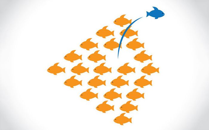 Hình ảnh minh họa sinh động (Nguồn: Internet) ảnh 1