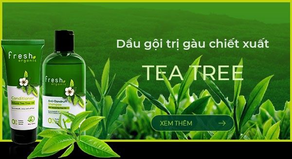 Fresh Organic Tea Tree - Bí quyết đánh bay gàu ngứa không hóa chất (Ảnh minh họa 2)