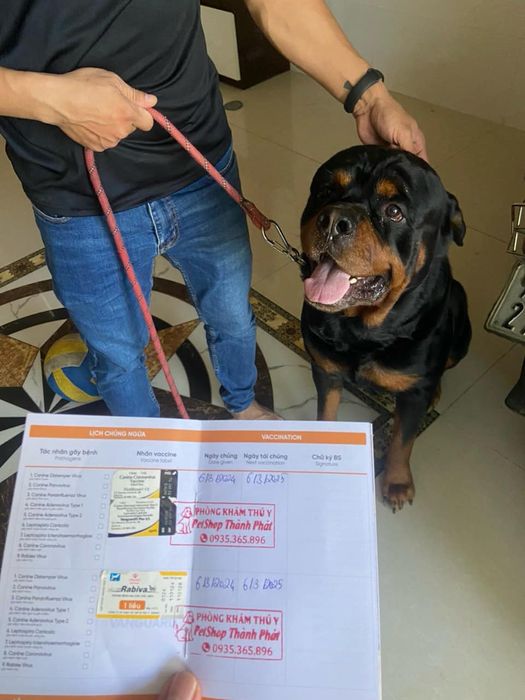 Hình ảnh 2 - Đội ngũ bác sĩ chuyên nghiệp tại PetShop Thành Phát