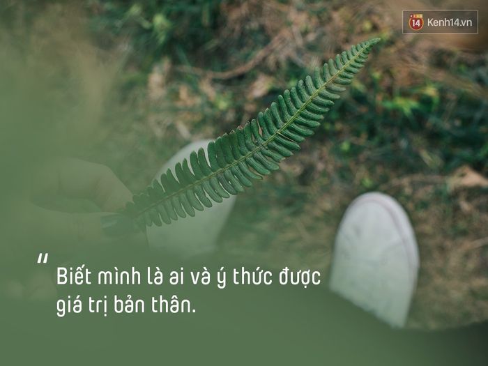 Hình ảnh minh họa ý nghĩa (Nguồn: internet) ảnh 1