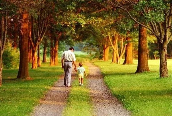 Hình ảnh minh họa sống động (Nguồn: internet)
