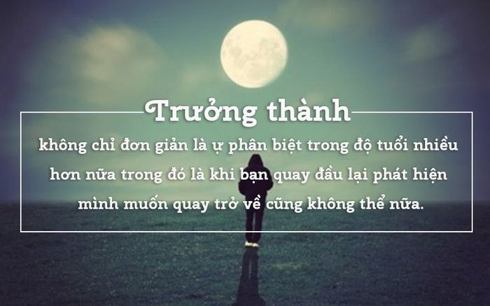 Hình ảnh minh họa ý nghĩa (Nguồn: internet) - Ảnh 1