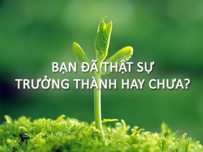 Hình ảnh minh họa ý nghĩa (Nguồn: internet) ảnh 1