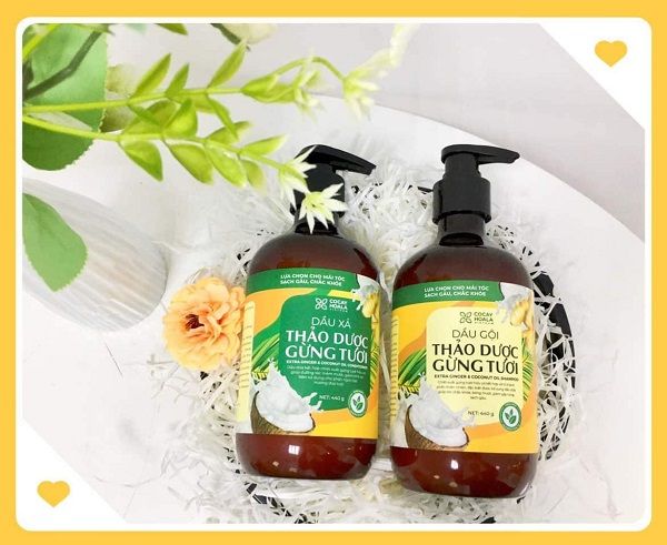 Hình Ảnh Chi Tiết Dầu Gội Gừng Dừa Hữu Cơ Cocayhoala - Sản Phẩm Được Tin Dùng