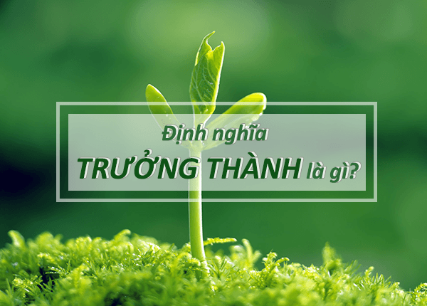 Tranh minh họa đầy cảm hứng (Nguồn: Internet)