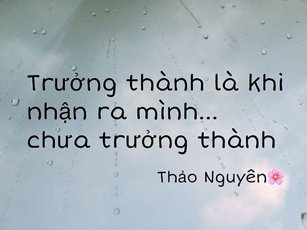 Hình ảnh minh họa sinh động (Nguồn: Internet)