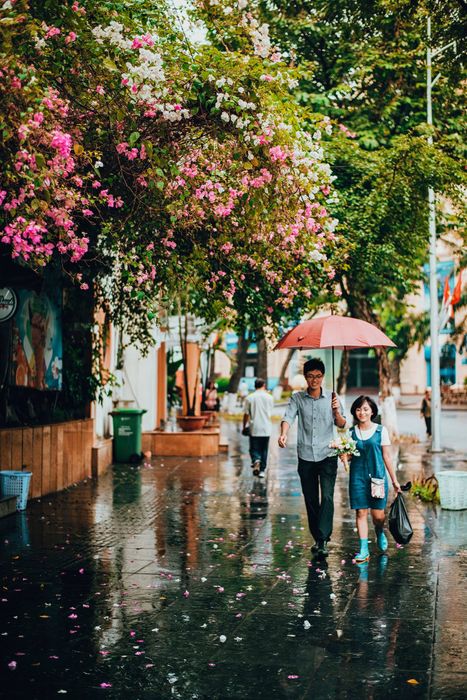 Ảnh minh họa (Nguồn internet) ảnh 1