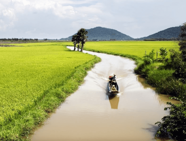 Hình ảnh minh họa sinh động (Nguồn: internet)