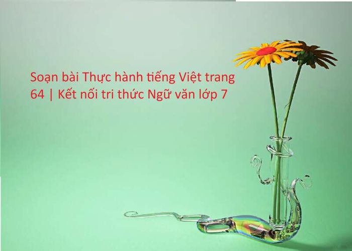 Hình ảnh minh họa số 1 (Nguồn tham khảo: internet)
