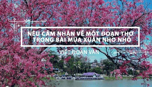 Hình ảnh minh họa đầy cảm hứng (Nguồn: internet)
