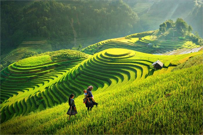 Hình ảnh minh họa: Làng quê đổi mới