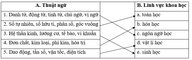 Hình ảnh minh họa sống động (Nguồn: internet) - Ảnh 1