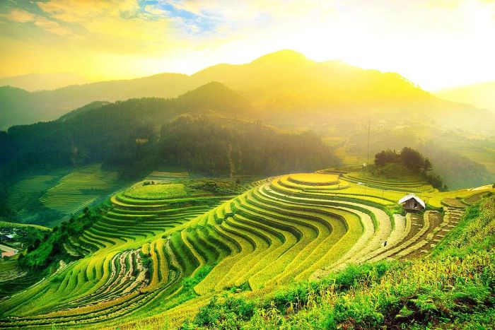 Hình ảnh minh họa: Cánh đồng quê bát ngát