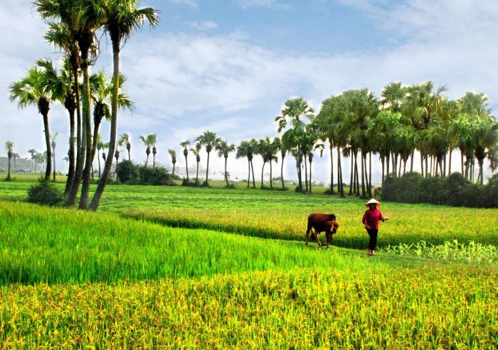 Hình ảnh minh họa: Sự đổi thay của làng quê