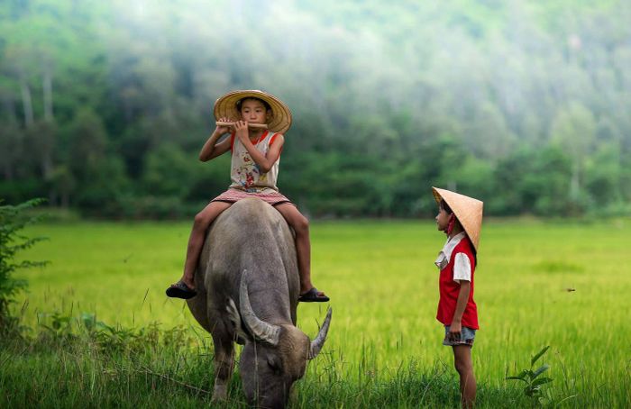 Hình ảnh minh họa: Tuổi thơ bên dòng sông quê