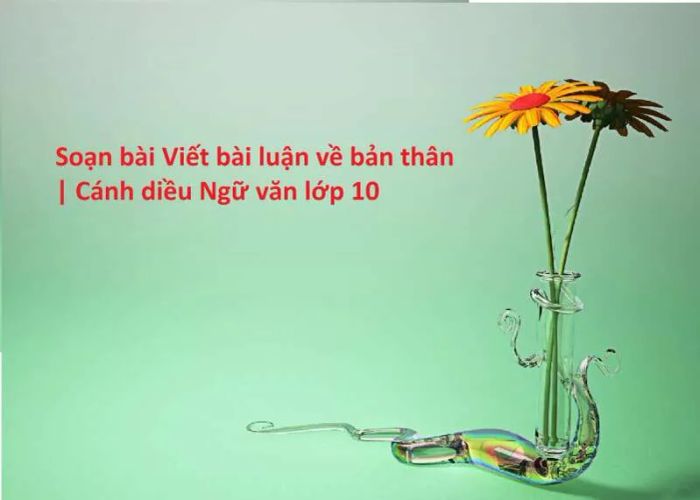 Hình ảnh minh họa bài viết (Nguồn: Internet)