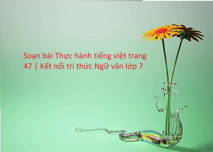 Ảnh minh họa (Nguồn internet) ảnh 1