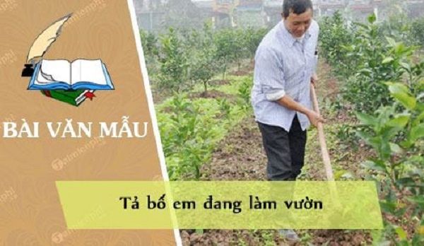Hình ảnh minh họa sinh động (Nguồn: internet) ảnh 1