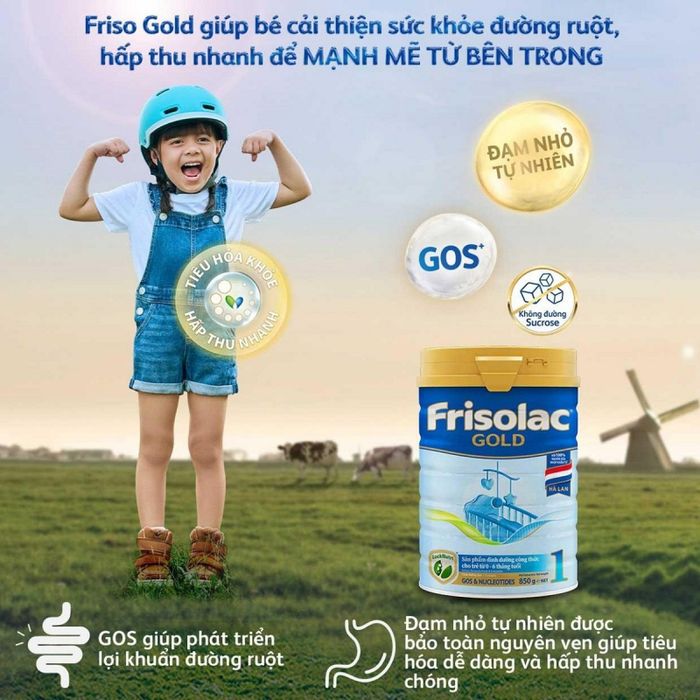 Hình ảnh sản phẩm Sữa bột Frisolac Gold – ảnh 2