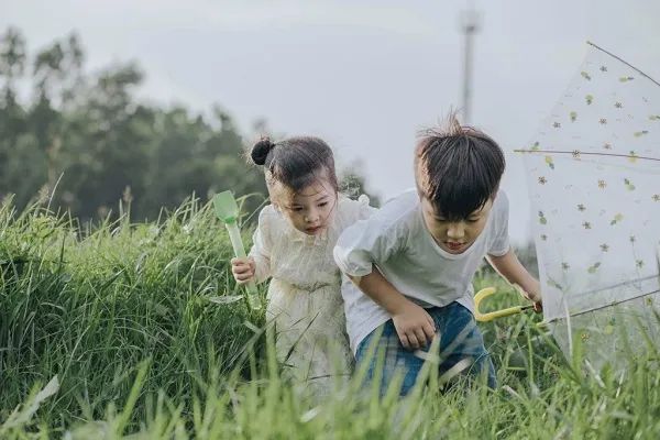 Hình ảnh minh họa chân thực (Nguồn: internet)