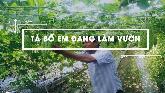 Hình ảnh minh họa sinh động (Nguồn: internet) ảnh 1