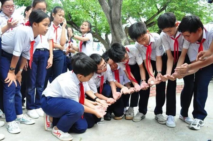 Hình ảnh minh họa chân thực (Nguồn: internet)