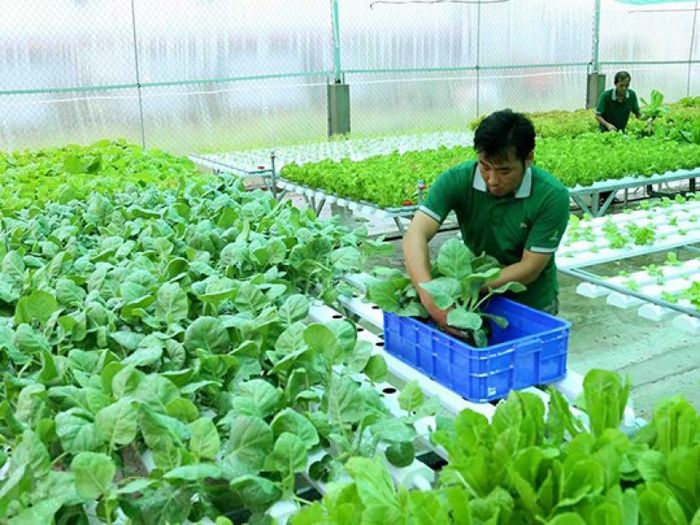 Hình ảnh minh họa sinh động (Nguồn: internet) ảnh 1