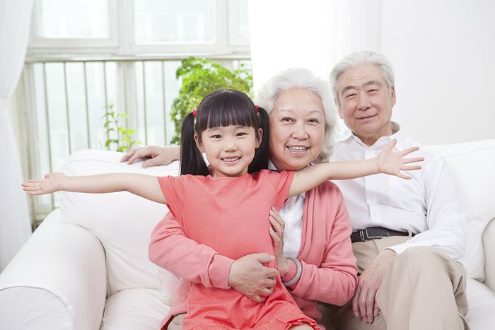 Hình ảnh minh họa chân dung người bà (Nguồn: internet) - ảnh 1