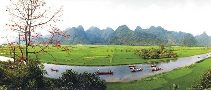 Ảnh minh họa (Nguồn internet) - hình ảnh mang đậm nét đẹp thiên nhiên, gợi mở sự tò mò và khám phá về vẻ đẹp kỳ vĩ của các vùng đất tại Việt Nam.