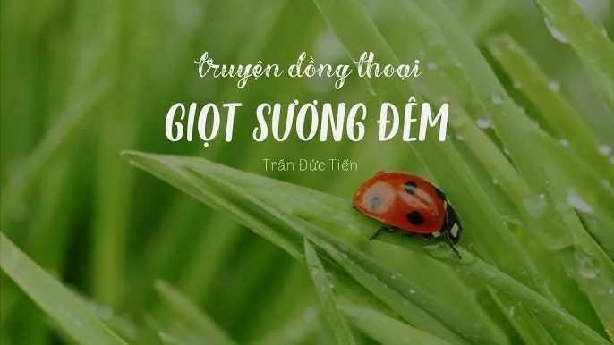Ảnh minh họa (Nguồn internet) - ảnh 1